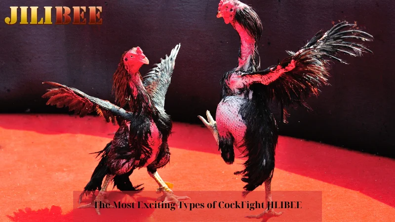 gogo jili casino login where can i bet on golf